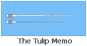The Tulip Memo