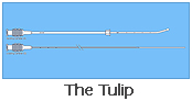 The Tulip 